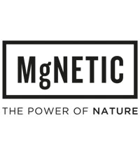 מגנטיק